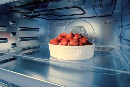 Blomberg 24 Inch Single Electric Wall Oven with 2.5 cu. ft. - Image 4